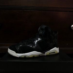 Air Jordan 6 Retro